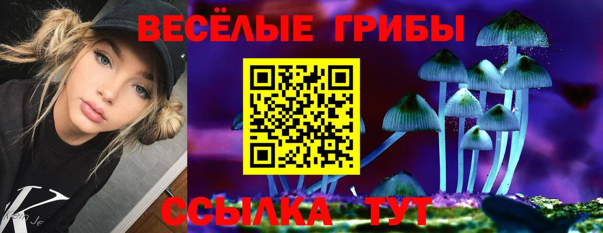 Псилоцибиновые грибы MAGIC MUSHROOMS  Вход с VPN  купить наркотики цена  Скопин 